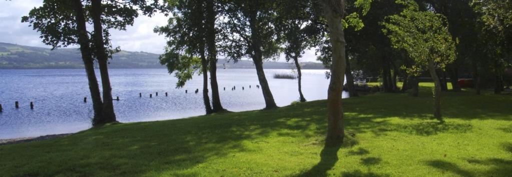Lakeside Cottage Killaloe Exteriér fotografie