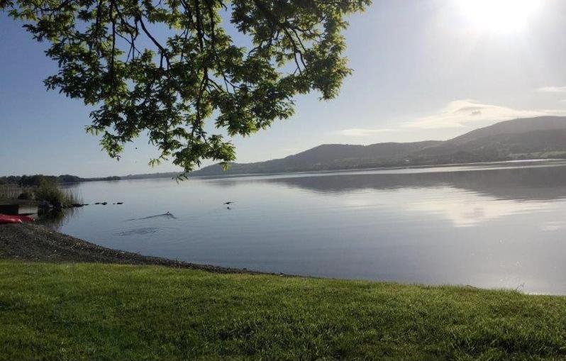 Lakeside Cottage Killaloe Exteriér fotografie
